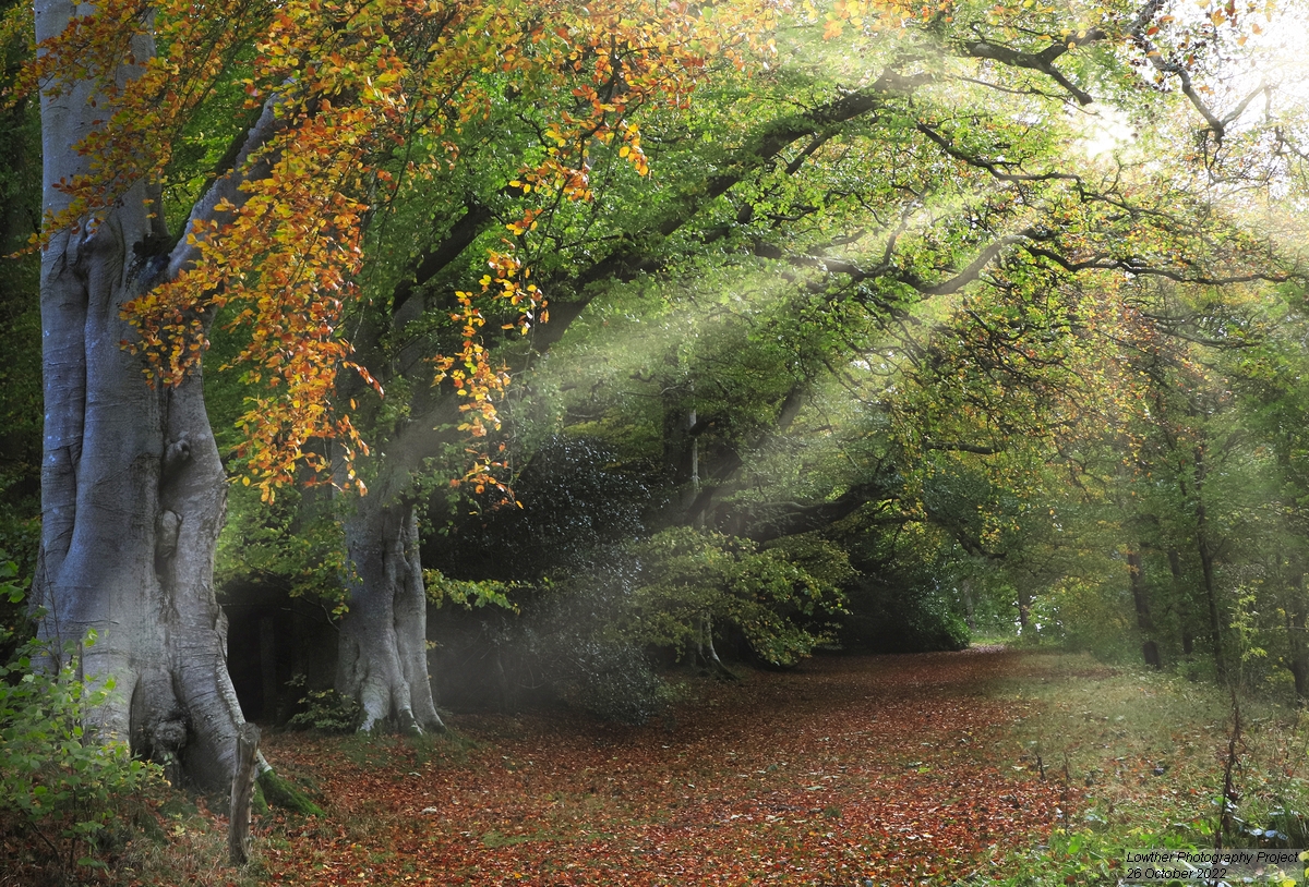 October - Lowther Castle & Gardens